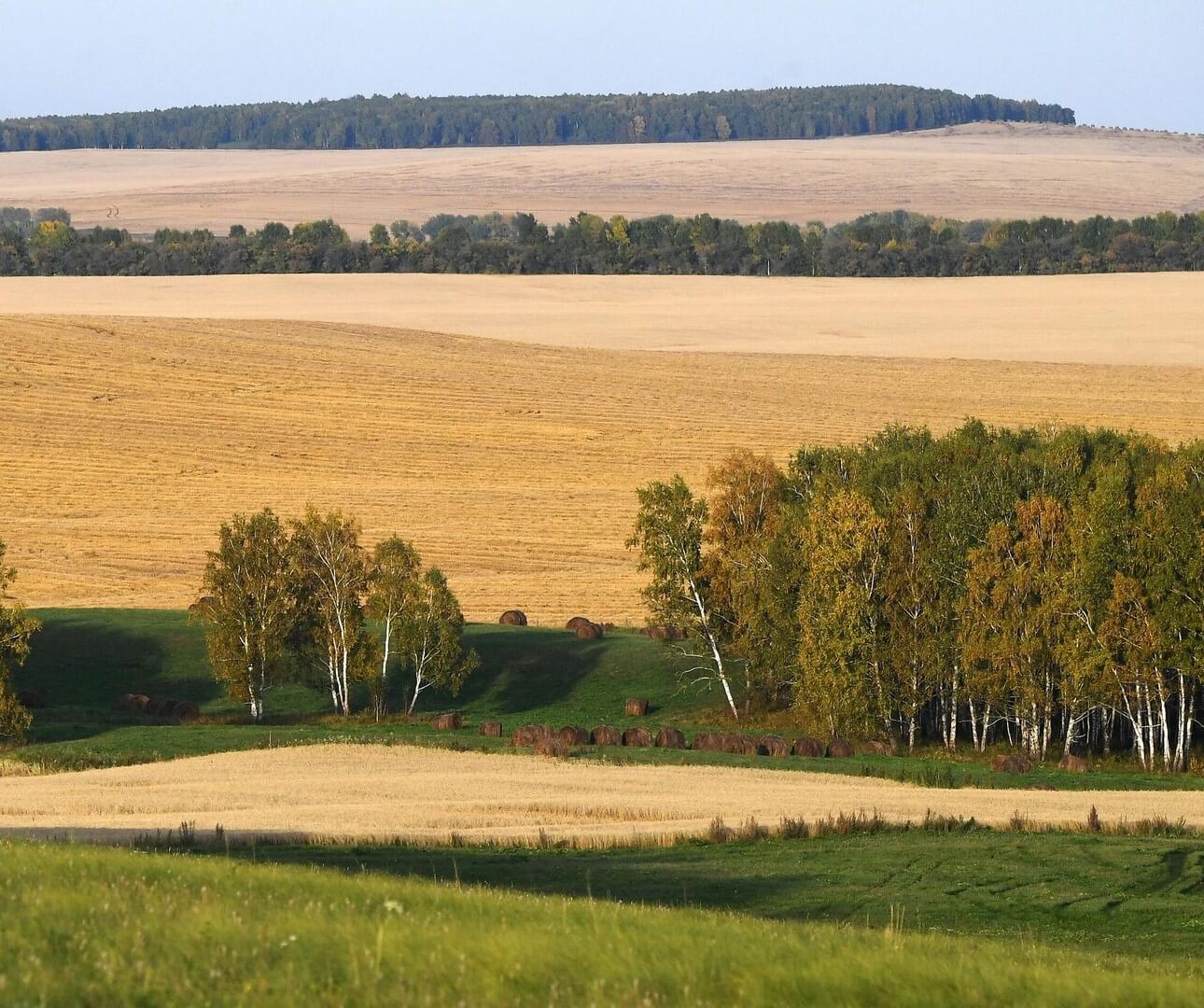 Земли сельскохозяйственного назначения